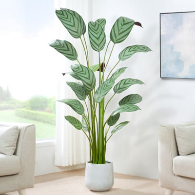 Mcc Direct Artificial Plant Bird Of Paradise Tree Indoor House Plant 180Cm