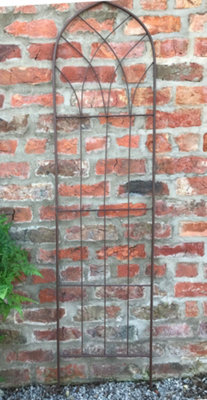 Ruddings Wood Large Garden Trellis Climbing Wall Plant Support (H)1600mm from B&Q