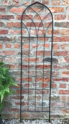 Ruddings Wood Large Garden Trellis Climbing Wall Plant Support Black (H)1600mm from B&Q