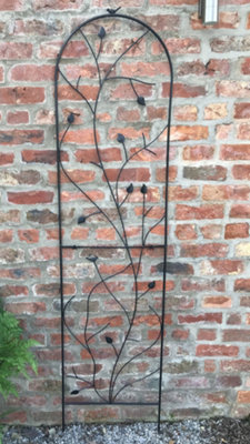 Ruddings Wood Extra Large Metal Garden Trellis Plant Climbing Rose Black Support Bird & Leaf 200Cm from B&Q