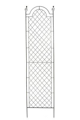 Ruddings Wood Scroll Garden Wall Trellis Climbing Plant Support Frame Black Extra Large (H)200Cm from B&Q