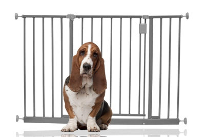 Bettacare Extra Wide Hallway Dog Gate109Cm115CmGreyPressure Fit Pet GatePuppy Safety Barrier from B&Q