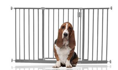 Bettacare Extra Wide Hallway Dog Gate128Cm134CmGreyPressure Fit Pet GatePuppy Safety Barrier from B&Q