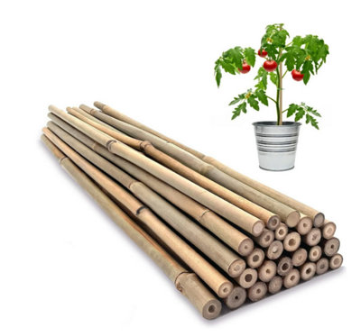 Almineez 20 X Natural Bamboo Plant Support Sticks 60Cm / 2Ft Plant Stakes Split Canes from B&Q