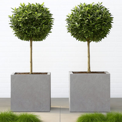 Set Of 2 Idealist™ 50Cm Large Square Planter For TreesGrey Reinforced Stone Flower BoxOutdoor Large Plant Pots from B&Q