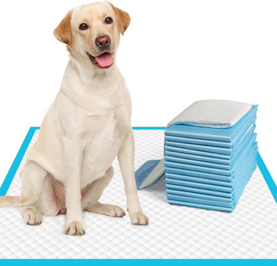 Mantraraj 100Pk Super Absorbent Puppy Training Pads Odour Locking No Leaking Dog Toilet Training Pad Floor Mat 60X60Cm from B&Q