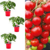 Found it product image.