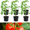 Found it product image.