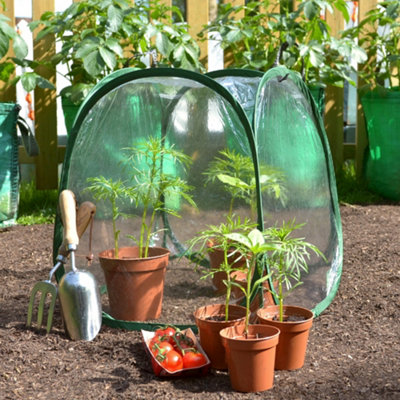 Gardenskill Pop-Up Mini Greenhouse ClocheGarden Poly Cover Plant Protection Grow House For Seedling Herb Flower Pots2 Pack from B&Q