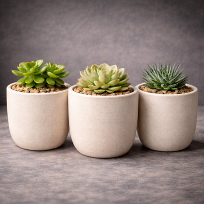 GardenSkill Scandi Style Indoor Plant Pot 12.5CmMochaPack 3Small Flowerpot Planter With Drip Tray For Succulent Herb Cactus Home Decor from B&Q