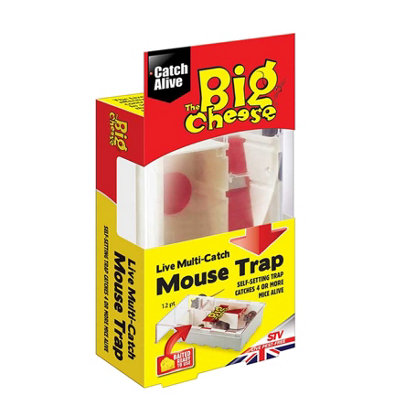 STV The Big Cheese Live Multi Catch Mouse Trap Baited Humane Reusable Holds 4  Mice from B&Q