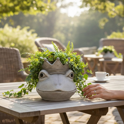 Decorative Concrete Ornament Planter Frog from B&Q