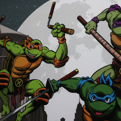 Teenage Mutant Ninja Turtles Limited Edition Fan-Cel from B&Q