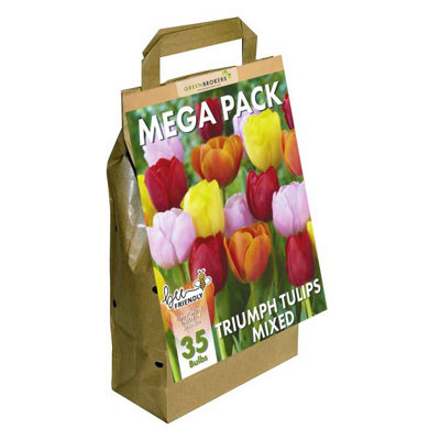 Greenbrokers Triumph Dutch Tulip Mixed Planting Bulb 35 Pack - Image 3