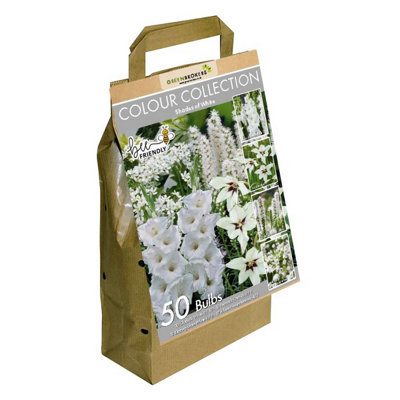 Greenbrokers White Colour Collection Spring Flower Bulbs- (50 Bulbs) Bee Friendly Large