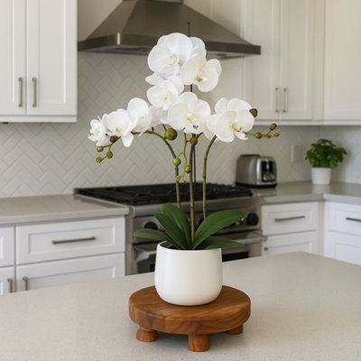 Greenbrokers Elegant Large Triple Stem White Real Touch Artificial Potted Orchid (65Cm) In Round White Ceramic Pot from B&Q