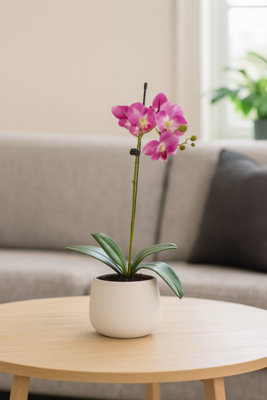 GreenBrokers Elegant Single Stem Purple Real Touch Artificial Potted Orchid (46Cm) In Round White Ceramic Pot from B&Q