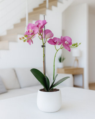 Greenbrokers Elegant Double Stem Real Touch Artificial Potted Orchid (46Cm) In Round Ceramic Pot Purple/White