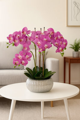 GreenBrokers Elegant Large Six Stem Butterfly Purple Real Touch Artificial Potted Orchid (65Cm) In Decorative Silver Ceramic Pot from B&Q