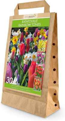 Greenbrokers Dutch Ratatouille Rainbow Mixed Planting Bulb 30 Pack - Image 3