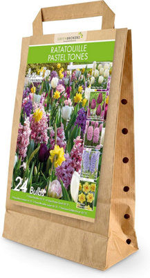 GreenBrokers Dutch Ratatouille Pastel Bee Friendly Mixed Planting Bulb - 24 Pack - Image 3