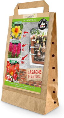 GreenBrokers Red Lasagne Bee Friendly Mixed Spring Planting Bulbs - 25 Pack - Image 3