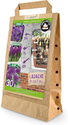 Greenbrokers Purple Lasagne Mix Spring Flower Bulbs Crocus Flower Record Hyacinthus Woodstock Allium Sensation Bee Friendly Pack Size 30