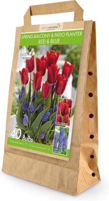 GreenBrokers Mixed Planter Bulb - 40 Pack - Image 3