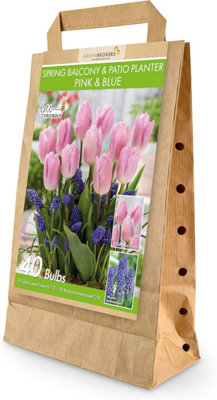 GreenBrokers Pink and Blue Mixed Planter Bulb 40 Pack - Image 3
