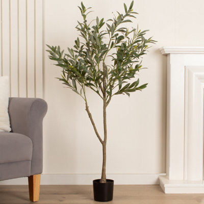 Scottish Everlastings Green 120Cm Olive Tree - Image 5