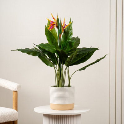 Scottish Everlastings Ltd. Scottish Everlastings 83Cm Artificial Bird Of Paradise Tree With Flower from B&Q