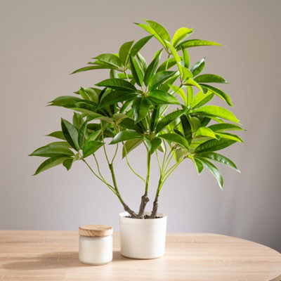 Scottish Everlastings Ltd. Scottish Everlastings Artificial 60Cm Real Touch Schefflera / Umbrella Plant In White Pot from B&Q