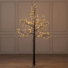 Found it product image.