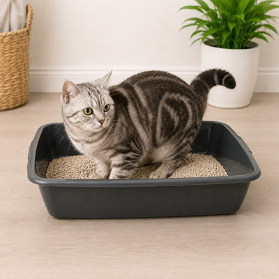 Whitefurze Large Cat Litter Tray Plastic Pet Toilet Kitten Rabbit Training Liter Box 45.5Cm from B&Q