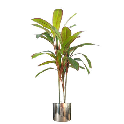 Leaf Artificial 100Cm Potted Dracaena Tropical Plant With Silver Metal Plater from B&Q
