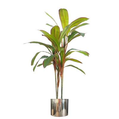 Leaf Artificial 100Cm Realistic Dracaena Tropical Plant With Silver Metal Plater from B&Q