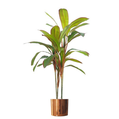 Leaf Artificial 100Cm Realistic Dracaena Tropical Plant With Copper Metal Plater from B&Q