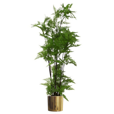Leaf Extra Large Moss Base Fern Foliage Artificial Plant With Gold Metal Planter 150Cm - Image 7