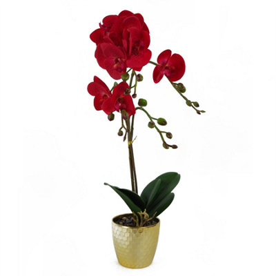 Leaf Orchid Artificial Red Leopard Gold Pot 50Cm Phalaenopsis from B&Q
