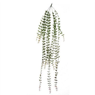 Leaf Artificial 120Cm Hanging String Of Pearls from B&Q