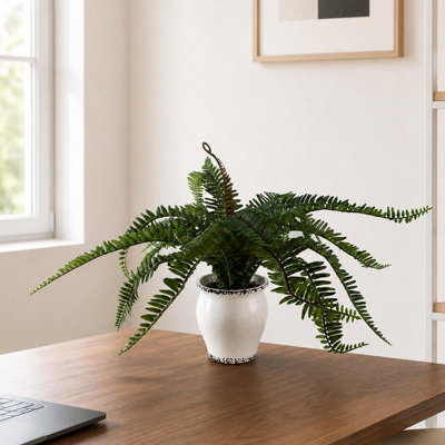 B&Q -  40Cm Artificial Fern Bush In Decorative Planter
