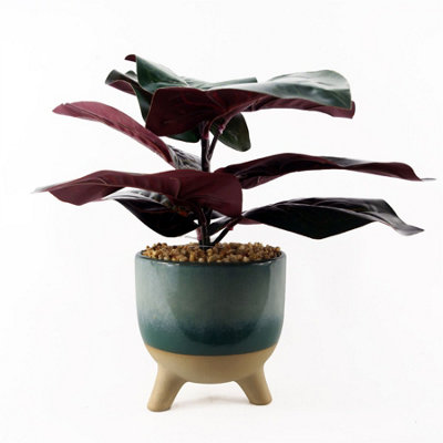 Leaf 35Cm Artificial Ficus Plant With Teal Blue Green Ceramic Planter from B&Q