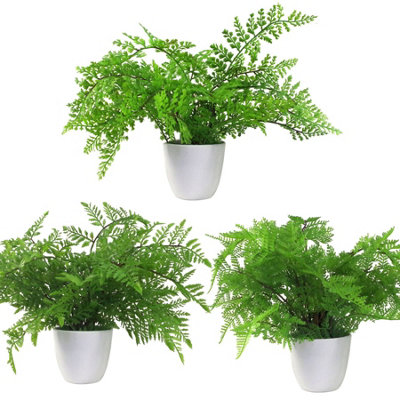 B&Q -  Pack Of 3 X 30Cm Artificial FernsSouthern WoodLady And RoyalPotted