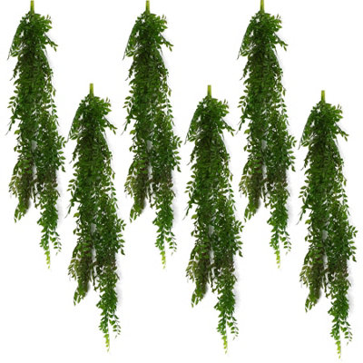 B&Q -  6 X 100Cm Hanging String Of Pearls Fern Plant Dark Green