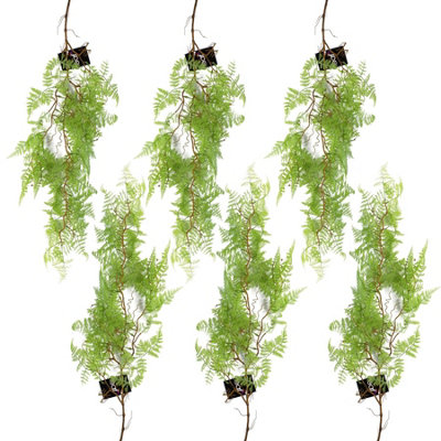 B&Q -  6 X 100Cm Artificial Hanging Maidenhair Fern Plant Light Green