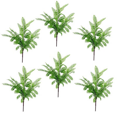 B&Q -  6 X 55Cm Himilayan Maidenhair Fern Bush Light Green Plant