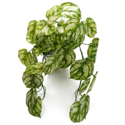 35 cm H Faux Foliage and evergreen Plant - Image 7