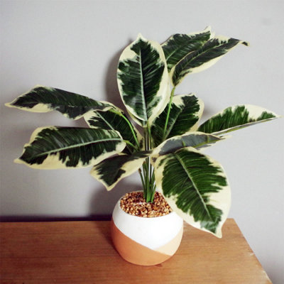 Leaf 40Cm Artificial Pothos Plant Variegated Shrub With Planter