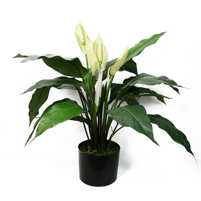 Leaf Artificial Peace Lily White Spathiphyllum from B&Q
