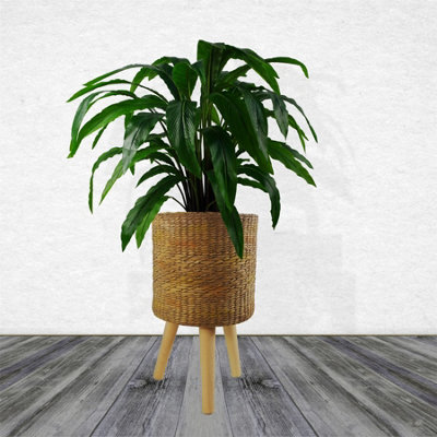 Leaf Rattan Effect Composite Planter With Stand from B&Q